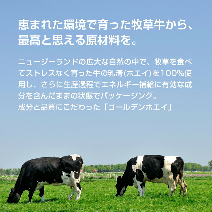 1019円 人気の贈り物が HIGH-CLEAR WPC ホエイ プロテイン ストロベリーミルク風味 1kg 約40食分 ビタミン ミネラル 1019円 人気の贈り物が HIGH-CLEAR WPC ホエイ プロテイン ストロベリーミルク風味 1kg 約40食分 ビタミン ミネラル