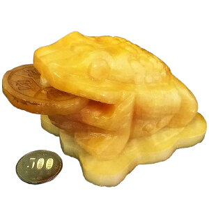 Or 񂫂Ⴍ񂶂 ASiCg ÑKO{̃JG=҂ƌ!! c××F7×10×7cm K^ O{^ 3{  ^ ^AbvF J^ ACe K^