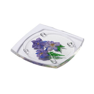 押し花コースター アクリルコースター 本物のお花を閉じ込めた 花言葉カード付 花 花咲く おしゃれ テーブルウェア フラワー 贈り物 可愛い 記念日 誕生日 雑貨 ハロウィン スポーツ 学園祭