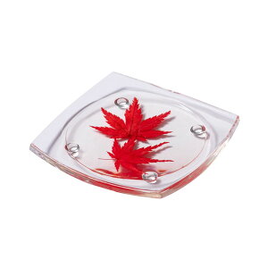 �����ԃR�[�X�^�[ �A�N�����R�[�X�^�[ �{���̂��Ԃ�����߂� �Ԍ��t�J�[�h�t �� �ԍ炭 ������� �e�[�u���E�F�A �t�����[ ���蕨 ���� �L�O�� �a���� �G�� �N���X�}�X �X�|�[�c �M�t�g