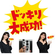 ドッキリ看板 音源付き サウンドボタン内蔵 大成功 リバーシブル パーティーグッズ サプライズ 演出 忘年…
