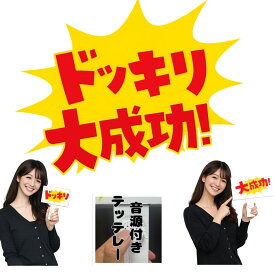 ドッキリ看板 音源付き サウンドボタン内蔵 大成功 リバーシブル パーティーグッズ サプライズ 演出 忘年会 余興 イベント 盛り上げアイテム YouTube TikTok 撮影 小道具