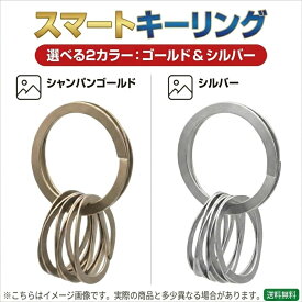 【マラソン期間限定！店内最大50%OFF】 最強配送 Waveclips スマートキーリング ウェーブクリップス 日本製 特許取得 ステンレス 大1小3 セット 鍵 キーホルダー シャンパンゴールド シルバー 爪を傷めない 軽い 強い メディア話題 プレゼント ギフト