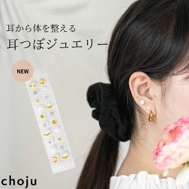 【即納】耳つぼジュエリー ジュエリー付き 透明シール 粒タイプ 耳ツボジュエリー セルフキット 金属アレルギー対応 透明 耳ツボ スターターキット キット マグレイン クリア シルバー 健康グッズ コリほぐし