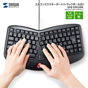 yzTTvC GSm~NXL[{[h gbN{[t SKB-ERG5BK L eL[ L[{[h lԍHw` USBڑ ubN uXCb` w 2{^ L