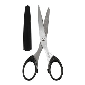 Nc 񓁔hnT~ Vo[ SS118SVy2024 nT~ 2ʁz򕌌֎s̐Eldグ̍inT~ I[vi[@\n fBviʉj\n Ήdl Lbvt 