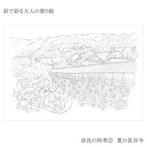  ʂōʂl̓hG s̎lG ޗǂ̎lG 1Zbg AO ʖѕM  J[My l̓hG s ޗ i  lG { l̓hG