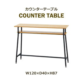 カウンターテーブル END-355 テーブル 机 つくえ デスク バーテーブル キッチンテーブル 木製 家具 ダイニング 収納付き おしゃれ ショップ 店舗 シンプル 東谷 あずまや