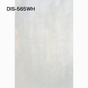 VFt DIS-565WH ؐ VR I[vbN X fBXvCbN I I[vVFt I [ [bN XgAfBXvC