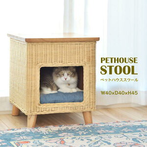 ybgnEXXc[ PET-63 Xc[ e[u ybgnEX ybgxbg  L ybg NbVt rt Vt VR ؐ ^  킢 [ XNGA J ܂