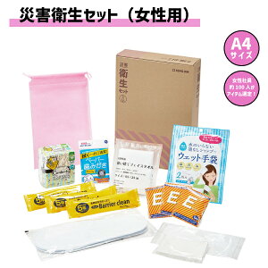 【送料無料】 KING JIM 災害衛生セット 女性用 HGS-300 被災 防災グッズ 防災アイテム 清潔 A4サイズ オフィス コンパクト スリム 場所を取らない 非常時 キングジム 収納しやすい からだ拭き ド