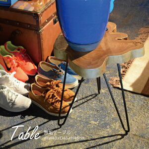 Ce[u TTF-185 e[u C  VR CeA  TChe[u v^[e[u rO _CjO Vbv X JtF J ܂