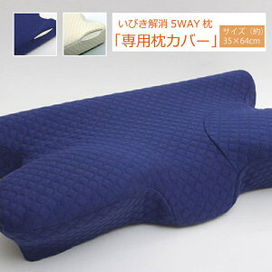 yz s[ 􂦂 ᔽ т w5WAY pJo[x 64×35×3`8cm 