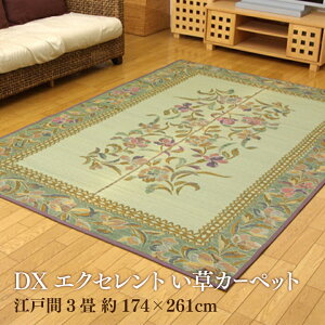 yzDXGNZg   Ԃ ~ a ~ J[ybg rO t[O NVbN ȒP  RۖhL  L C ɂ ]ˊ3 174×2