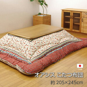 yzIAVX zc ӂ LeBO Eh^ Y { JWA  􂦂  205×245cm CPqR