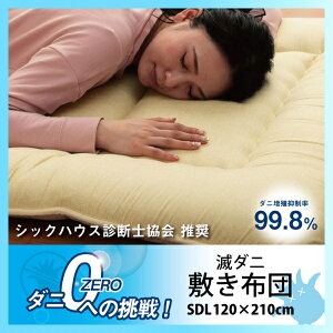 yz Ń_j ~zc METU120210 CPqR Q  K _jB} { n Vv Z~_uO 120×210cm [ ܂ Ń_j nEX_Xg b AM[ ~J 