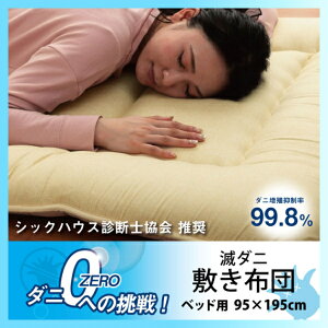 yz Ń_j ~zc METU95195 CPqR Q  K _jB} { n Vv xbhp 95×195cm [ ܂ nEX_Xg b AM[ ~J   A