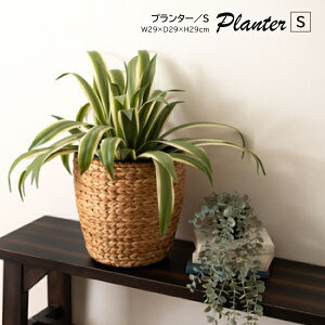 プランター GRNB-51S 鉢入れ アジアン 観葉植物 シンプル ウォーターヒヤシンス 雑貨 インテリア 室内 ブラウン 茶色 編み かご 円型 7号用 ガーデン おしゃれ リビング ダイニング 玄関 ショッ