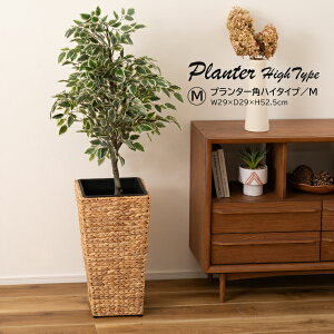 v^[ GRNB-53M  AWA ϗtA A Vv EH[^[qVX G CeA  uE F ҂  S~ [ p^ 7p K[f  rO _Cj