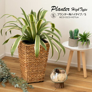 v^[ GRNB-53S  AWA ϗtA A Vv EH[^[qVX G CeA  uE F ҂  S~ [ p^ 5p K[f  rO _Cj