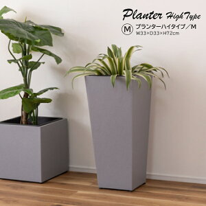 v^[ nC^Cv GRNB-55M  _ C_XgA Vv O[ A ϗtA AWX^[t CeA K[f  rO _CjO  Vbv X J