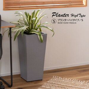 v^[ nC^Cv GRNB-55S  _ C_XgA Vv O[ A ϗtA AWX^[t CeA K[f  rO _CjO  Vbv X J