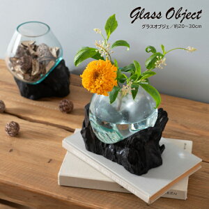 OXIuWF TTZ-310 KXIuWF IuWF KX  _ eE ANAE Ԋ fBXvC KX t[|bg 썑 t[x[X rO _CjO  