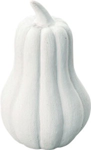 t[cIuWF CLY-43 IuWF ڂ Ђ傤^  u CeAG    }bgdグ A[g  RpNg Ϗ rO 킢  ubN zCg 