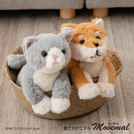 癒されアニマル movemal むぶまる GLK-210 動物ぬいぐるみ ぬいぐるみ 猫ぬいぐるみ 関節が動く 動く 動物 癒し ペットロス 高齢者 インテリア雑貨 猫 ねこ ネコ 犬 いぬ イヌ かわいい プレゼント 介護 介護施設 グレー ブラウン 可動 子供 東谷 あずまや