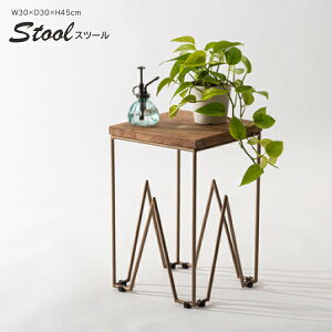 Xc[ SLY-016 ֎q CX TChe[u v^[x[X lp X`[ AeB[NS[h VR `[N  Vv i` Q \t@[TCh  X JtF E