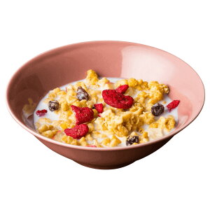 [�|�C���g10�{] ���� DRESS �g������ ���a15cm ������� ���킢�� �k�� �a�H�� ���q �T���_�{�E�� ��蔫 �X�[�v�M �ϕ� �ی^ ���{�� �H���E�����W�Ή� ������ �M�t�g �����j ���j �a�����j ��