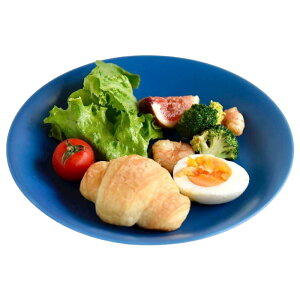 [|Cg10{] M DRESS g a21.5cm  킢 k aH pX^M J[M v[g ێM M { HEWΉ M  Mtg j j aj z