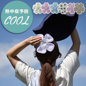 ACXpbh Xq ۗ p p ACXV[g ΍ MǑ΍ pObY WFACX N[pbh wbhpbh Ђ 킢 ₽ ACX ⊴  n