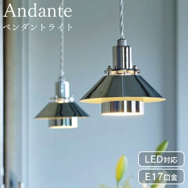 ペンダントライト ダイニング 北欧 スチール おしゃれ 照明 天井照明 ライト LED 1灯 ダイニングリビング 食卓用 シンプル 新生活 インターフォルム アンダンテ