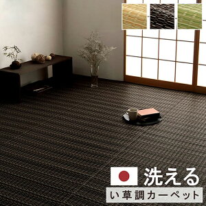 洗える カーペット 4.5畳 6畳 8畳 10畳 江戸間 本間 団地間 ラグ 丈夫 日本製 国産 除菌スプレー対応 ござ アウトドア ペット 敷詰 おしゃれ い草風 ブラウン グリーン ベージュ バルカン