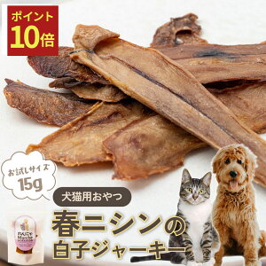 y12/4 20:00`|Cg10{z  L  tjV̔qW[L[ 15g ybg TCY ybgt[h W[L[ kCY Y   ɂ jV  q  kC