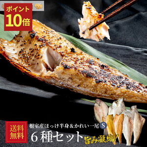 y|Cg10{zkCY قꂢ STCY Zbg6 6_Zbg Yق g   J[ ݂   JC @ꂢ Hꂢ Ⓚ Y