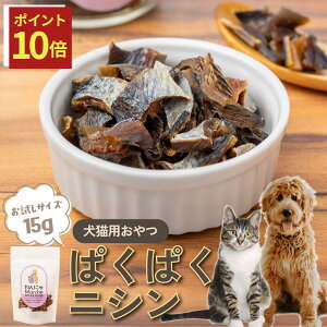 y12/4 20:00`|Cg10{z  L  ςςjV 15g ybg TCY ybgt[h kCY Y   ɂ jV  gɂ  kCMY L