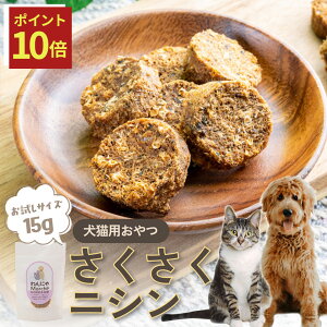 y12/4 20:00`|Cg10{zybg jV 15g TCY kCY Y `bvX ɂ jV kCMY L  g[c Ysgp q[}O[h F