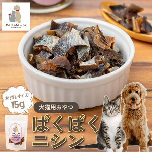   L  ςςjV 15g ybg TCY ybgt[h kCY Y   ɂ jV  gɂ  kCMY L  g[c q[}