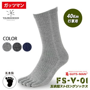 �K�b�c�}�� �ܖ{�w�C���@FS-V-01 �ܖ{�w�X�g�����O�\�b�N�X�@���X�l�C��FS-01��i�����������\�t�g�Ńt�B�b�g���̍����C���ł� �A�E�g�h�A��l�X�ȃV�[���ł����q���C����