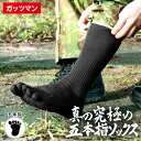 ガッツマン 真の究極の五本指ソックス 再入荷 抗菌防臭より更に進化した制菌消臭 締め付けないゴム口 父の日 在庫限りで終了