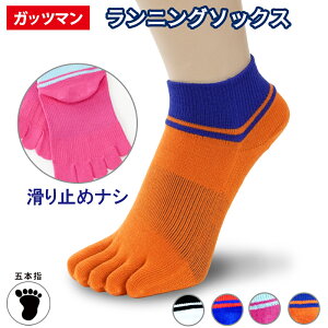 Kbc}@jOܖ{w\bNX@~߃iV X|[c\bNX Jt J[\bNX@݌Ɍ