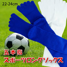 楽天市場 サッカー ボール 激安の通販