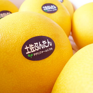 U 5kg pi  6`8ʓ nEXԂ񂽂  mY ZT[I Y Ԃ񂽂 x Mtg v[g t[c ݂ Ε