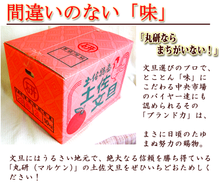 楽天市場】マル研 土佐文旦 約10kg 最高級品 露地ぶんたん 高知 楽天市場】マル研 土佐文旦 約10kg 最高級品 露地ぶんたん 高知