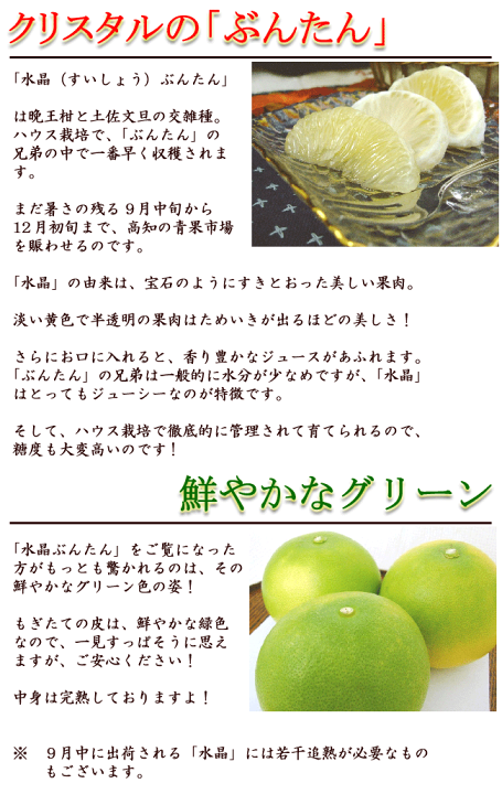 楽天市場】水晶文旦 約5kg 送料無料 光センサー選果 ご家庭用 6
