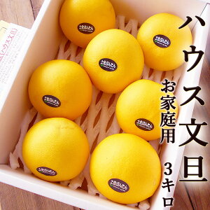 U 3kg ƒp 5`8ʓ nEXԂ񂽂  mY ZT[I Y Ԃ񂽂 x Mtg v[g t[c ݂ Ε