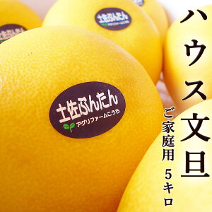 U 5kg ƒp 6`8ʓ nEXԂ񂽂  mY ZT[I Y Ԃ񂽂 x Mtg v[g t[c ݂ Ε