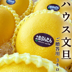 U 3kg p 5`6ʓ nEXԂ񂽂  mY ZT[I Y Ԃ񂽂 x Mtg v[g t[c ݂ Ε